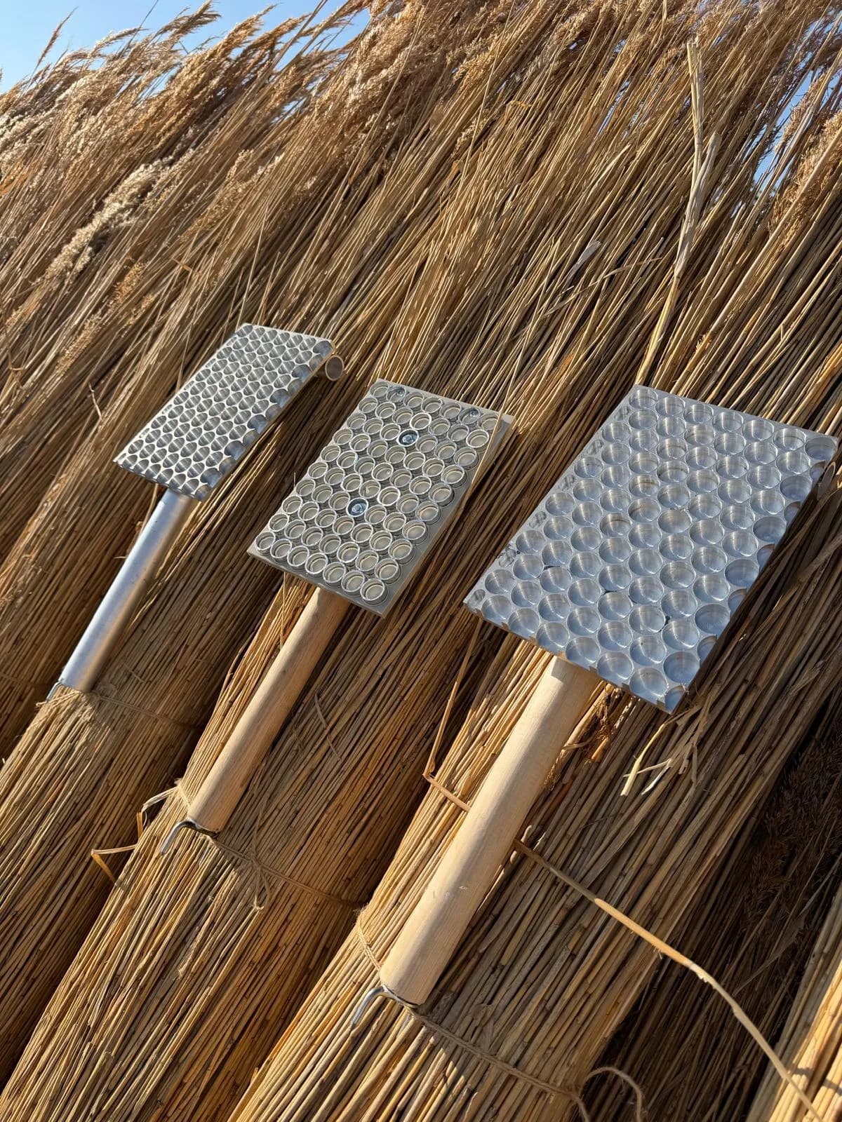 HADAK-rietkloppers met massieve bladen en een ringblad op goudkleurige bundels riet